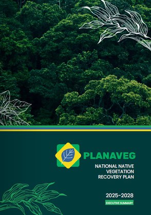 Sumário Executivo english.jpg