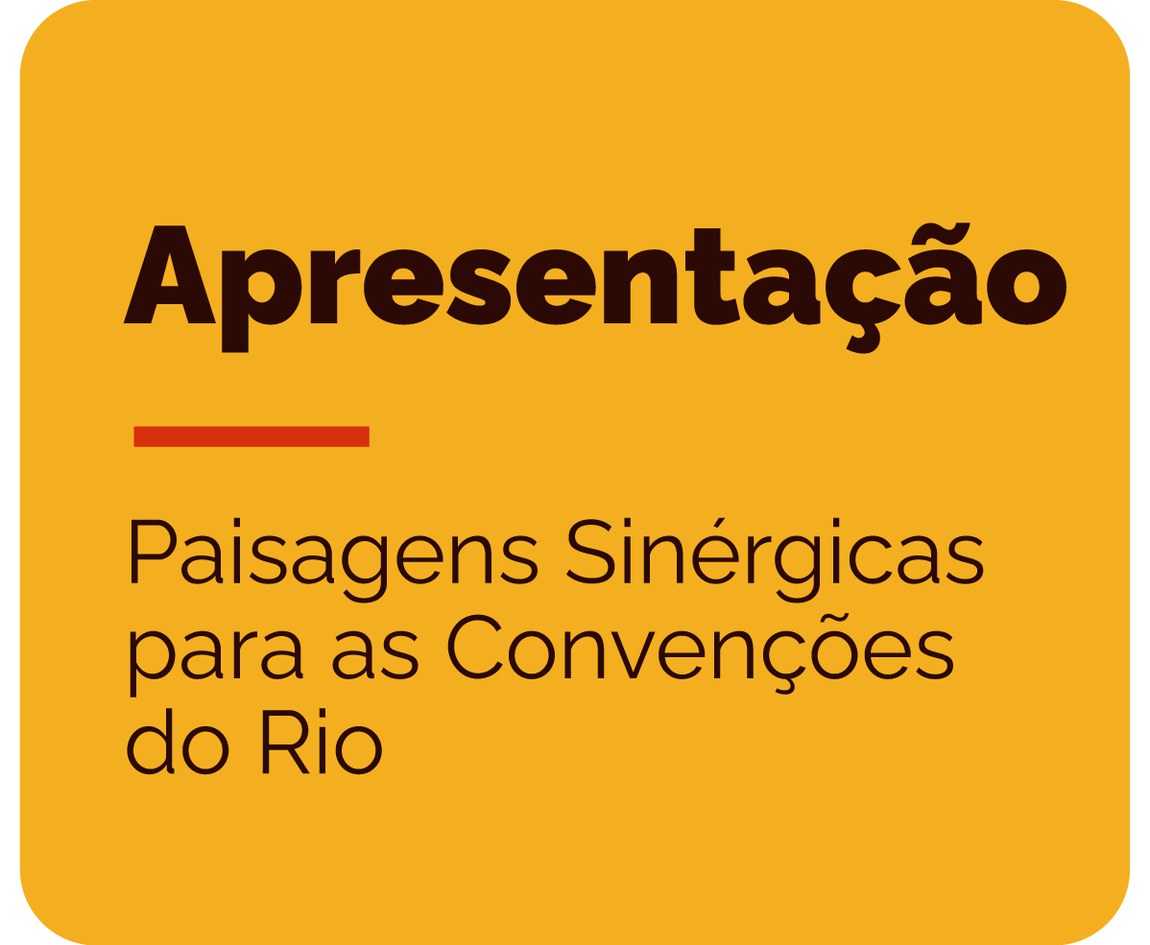 apresentação