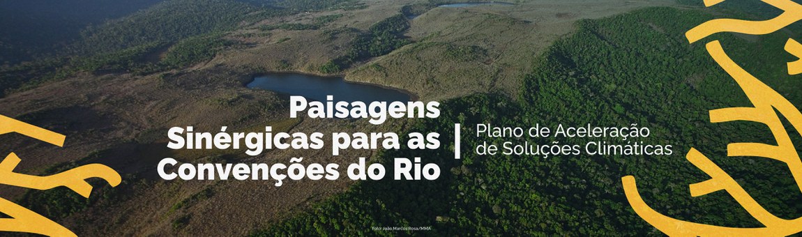 banner pacto pela sinergia entre as convenções do rio