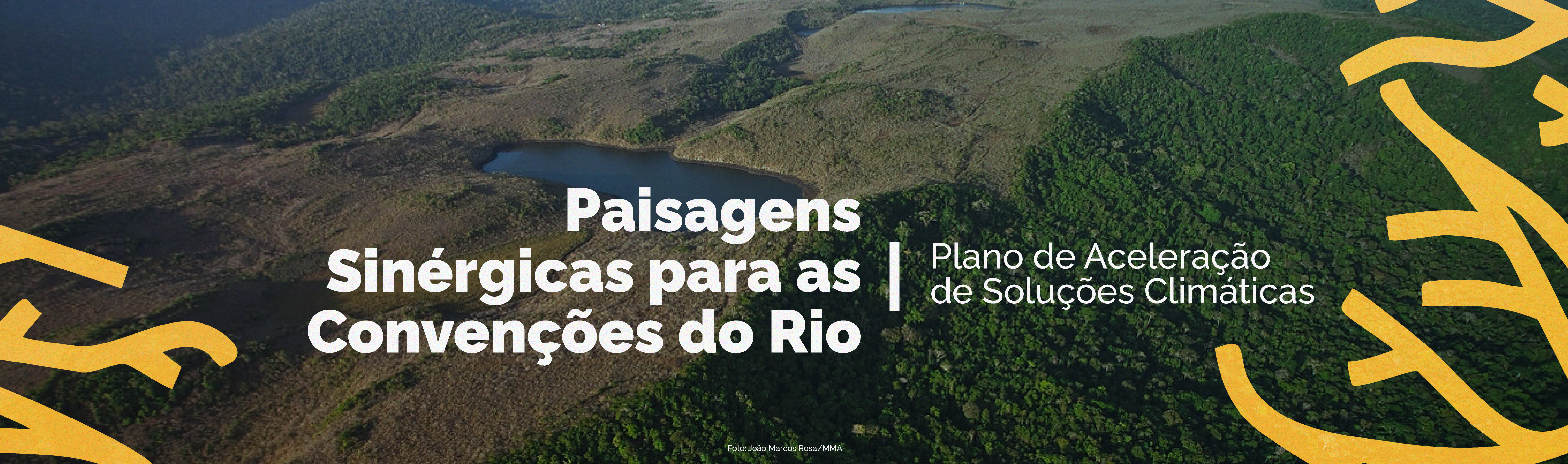 banner pacto pela sinergia entre as convenções do rio