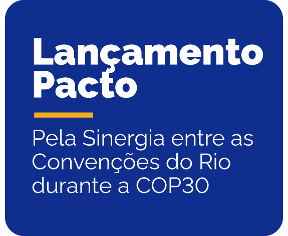 lançamento pacto