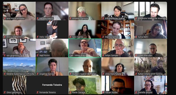 Estado da Conectividade Ecológica na Panamazônia