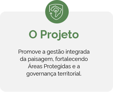 projeto