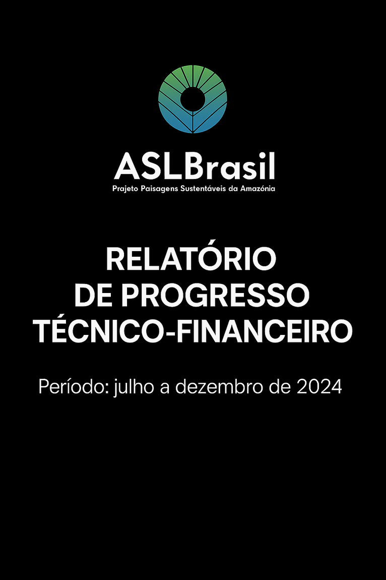 Relatório de Progresso Técnico - Financeiro