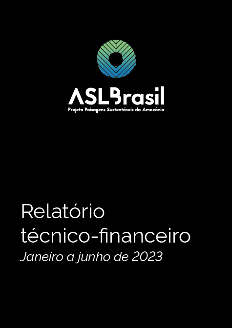 Relatório técnico-financeiro - Janeiro a Junho de 2023