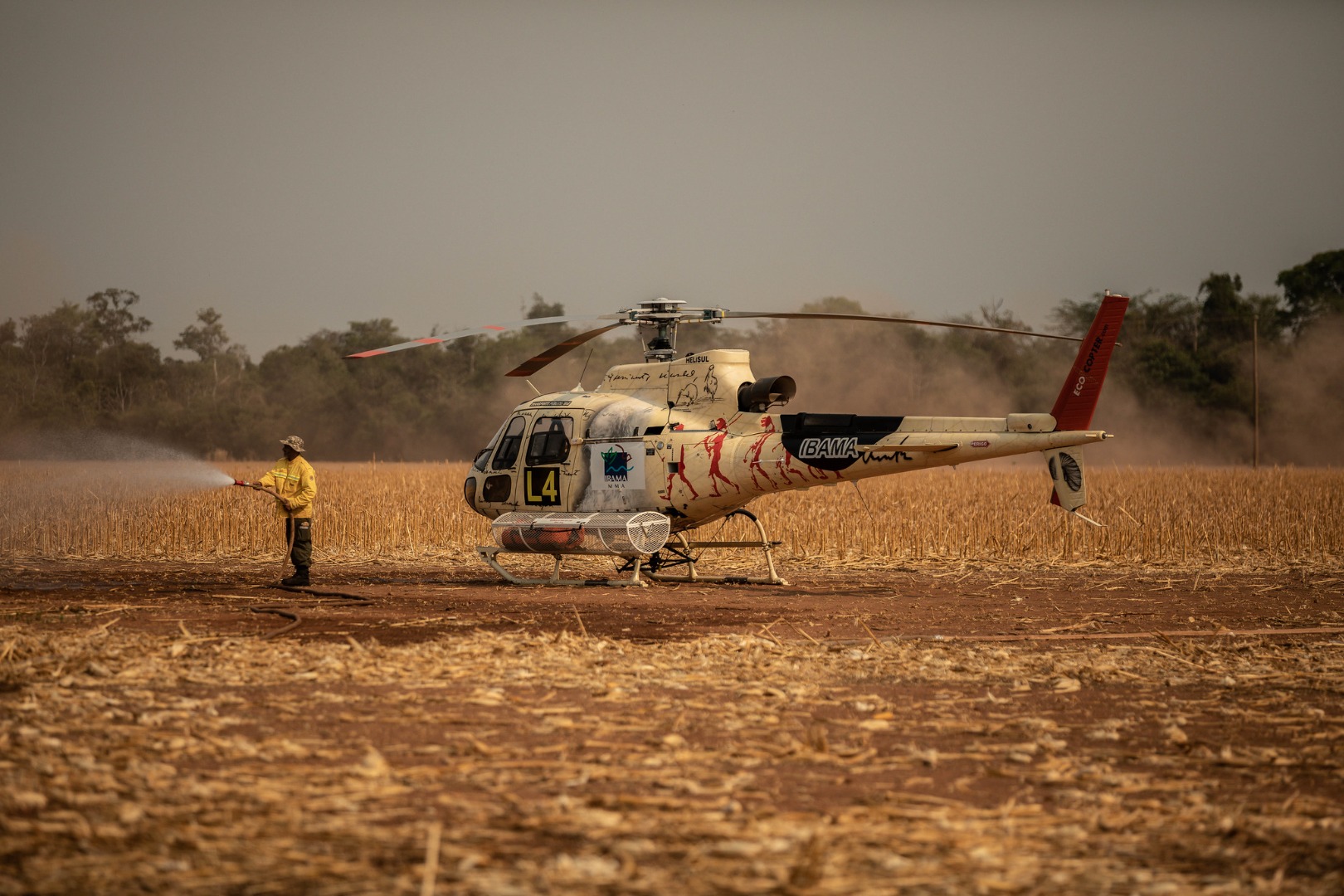 As ações são alinhadas com os compromissos do governo federal em proteger o meio ambiente e garantir a sustentabilidade dos biomas brasileiros. 