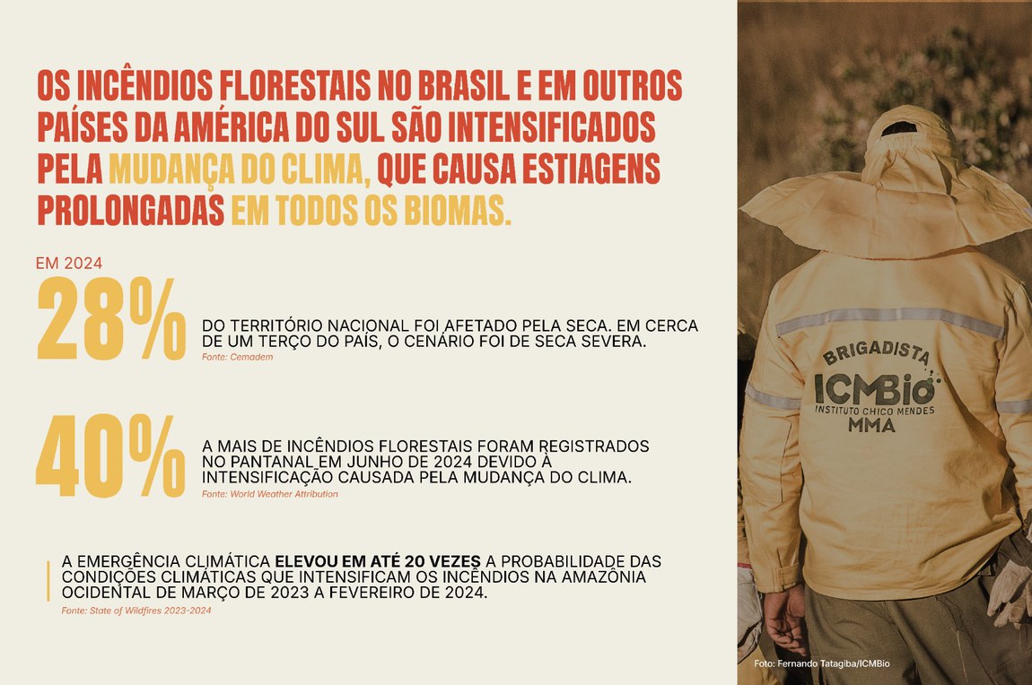 imagem dados combate