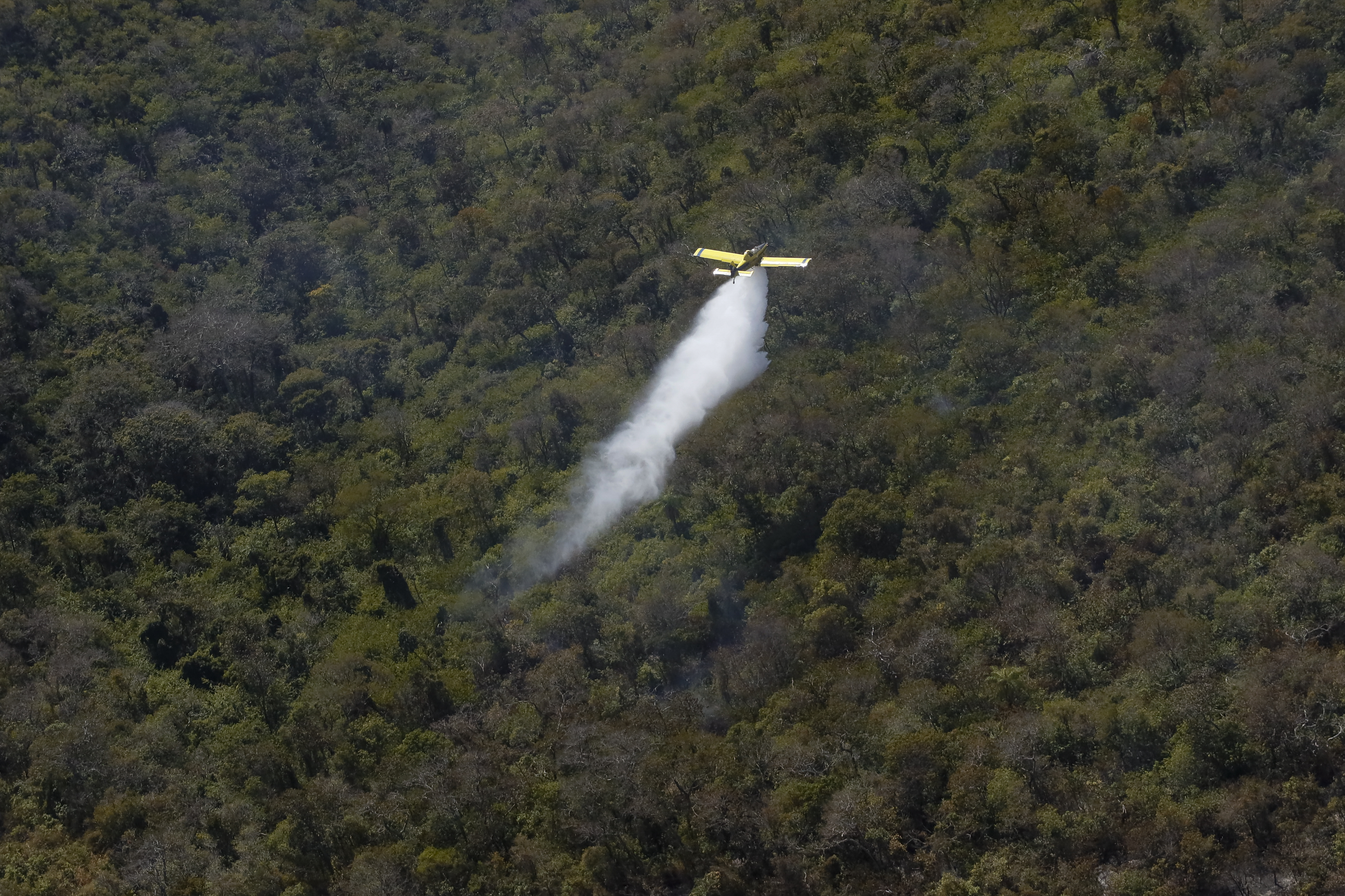 Pantanal: 96% dos incêndios estão extintos ou controlados