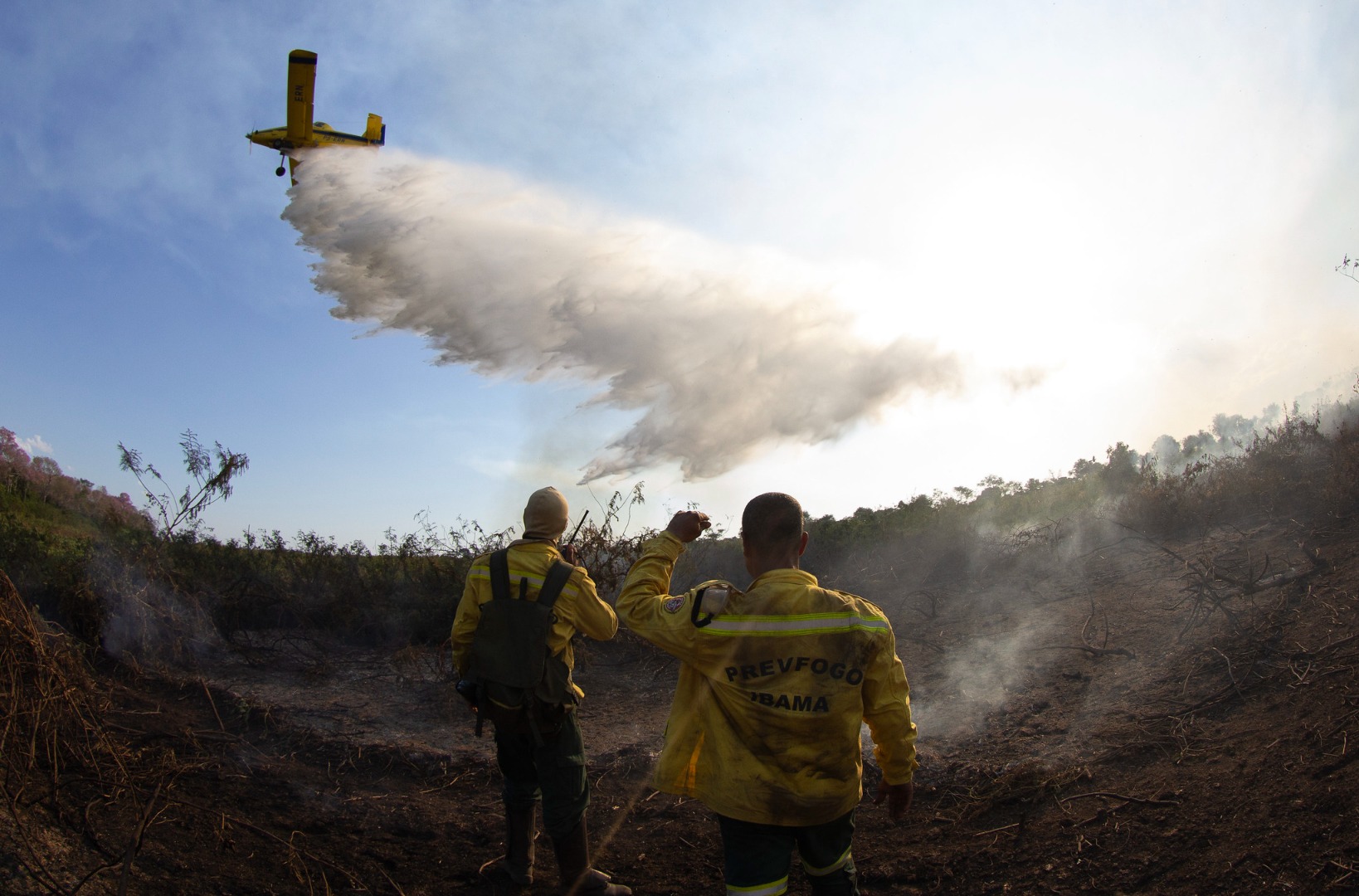 Departamento é responsável pela execução e coordenação das políticas públicas destinadas à prevenção, controle e redução do desmatamento e ao manejo integrado do fogo no Brasil