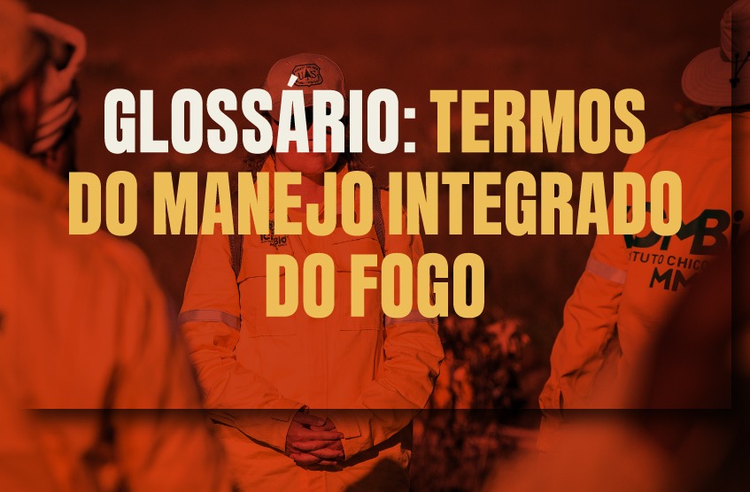 glossário