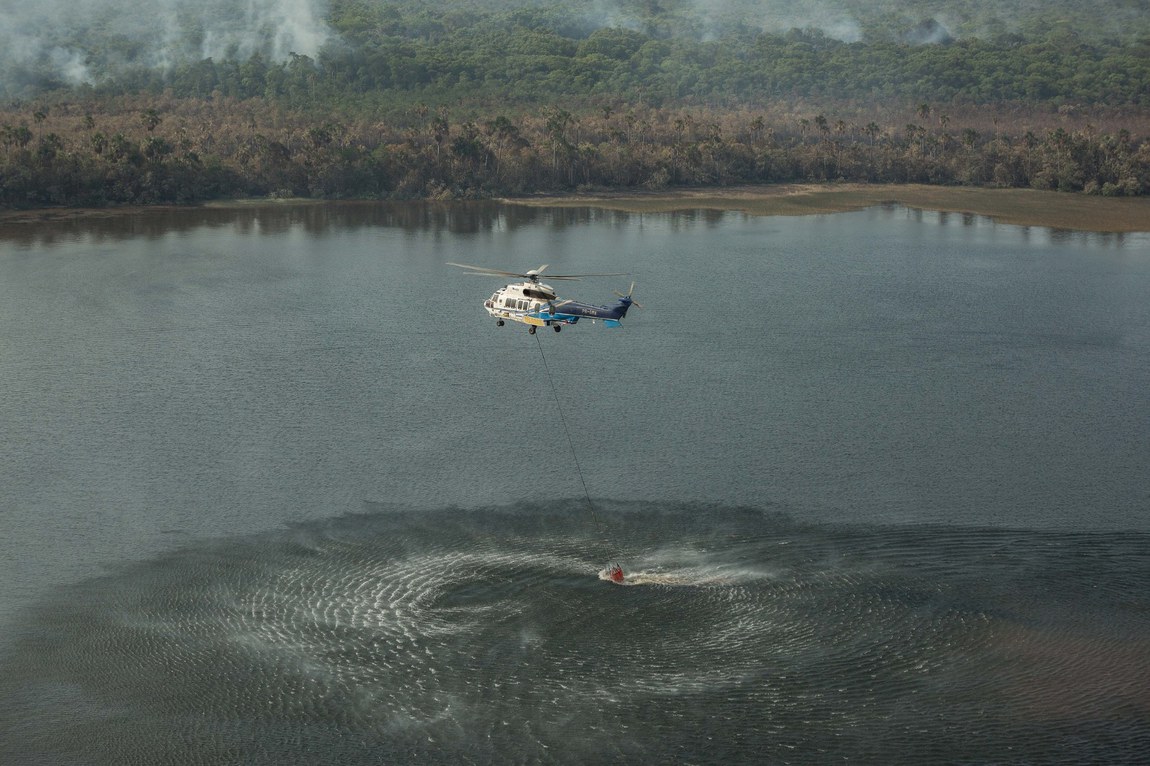 O DPCD trabalha para garantir que as políticas e ações de controle do desmatamento e incêndios florestais sejam implementadas de forma eficaz.