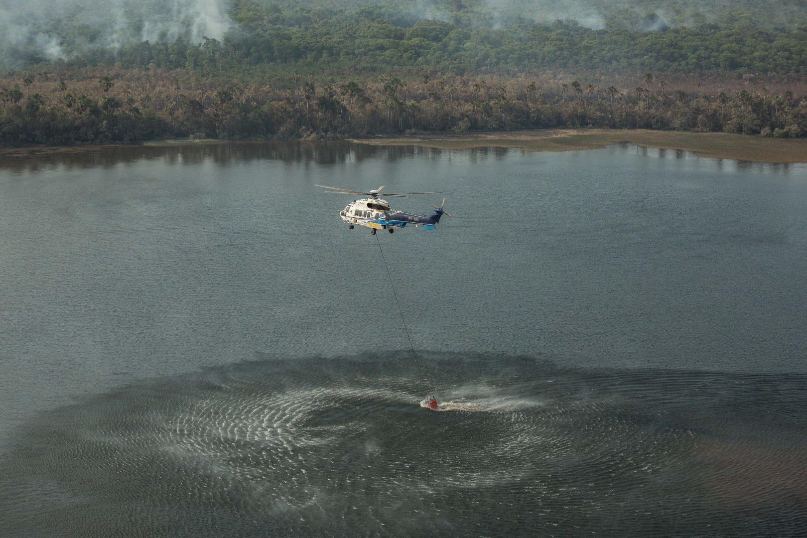 O DPCD trabalha para garantir que as políticas e ações de controle do desmatamento e incêndios florestais sejam implementadas de forma eficaz.