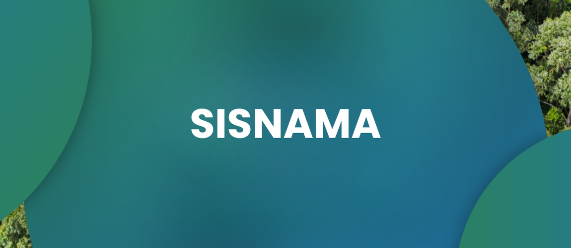 SISNAMA