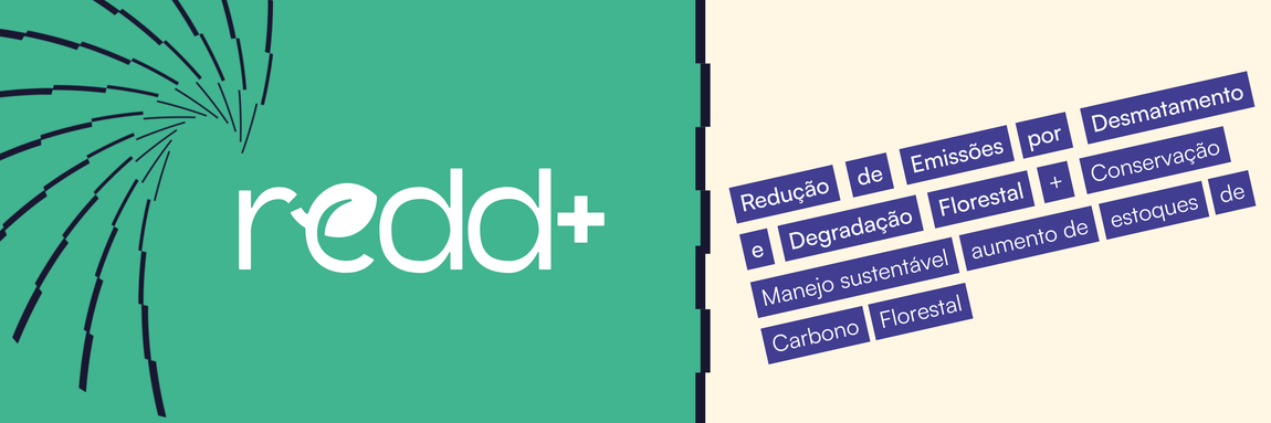 REDD+ Brasil