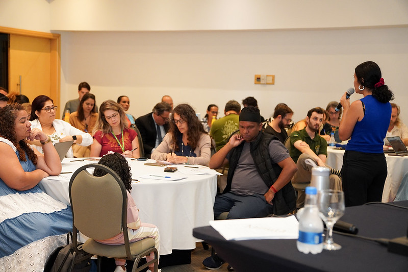 GTT Salvaguardas debate diretrizes referentes a programas jurisdicionais e projetos de carbono florestal