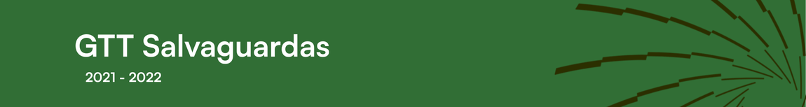 Reuniões do GTT Salvaguardas