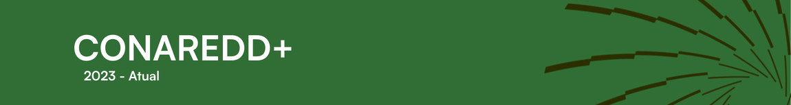 Reuniões da CONAREDD 2023 - 2025