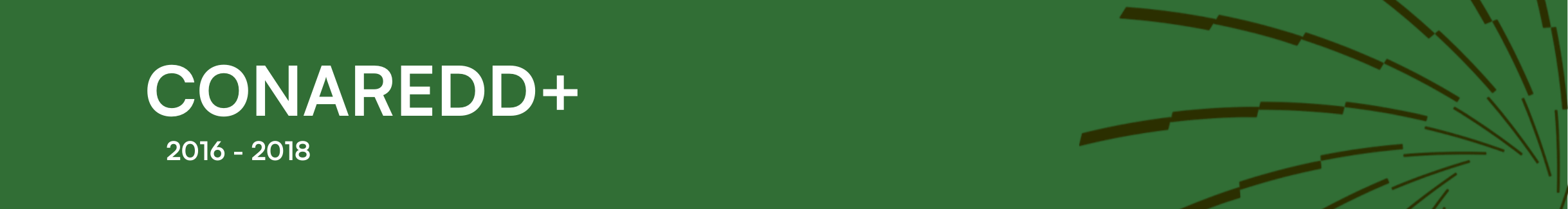 Reuniões da CONAREDD 2016-2018