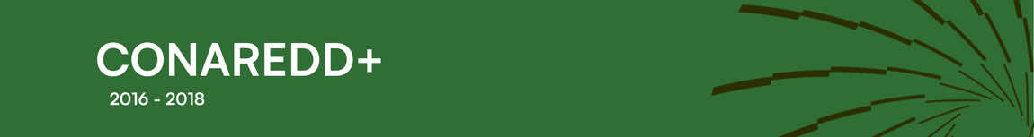 Reuniões da CONAREDD 2016-2018