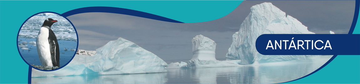 Paisagem da Ant´ática oa fundo e Pinguim a esquerda