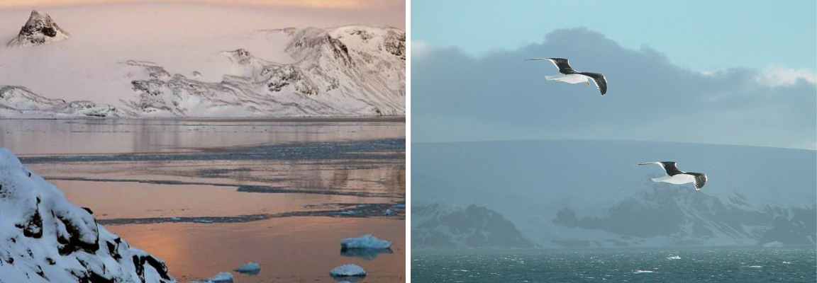 foto antártica 4 Armando Hadano e OdairAF.png