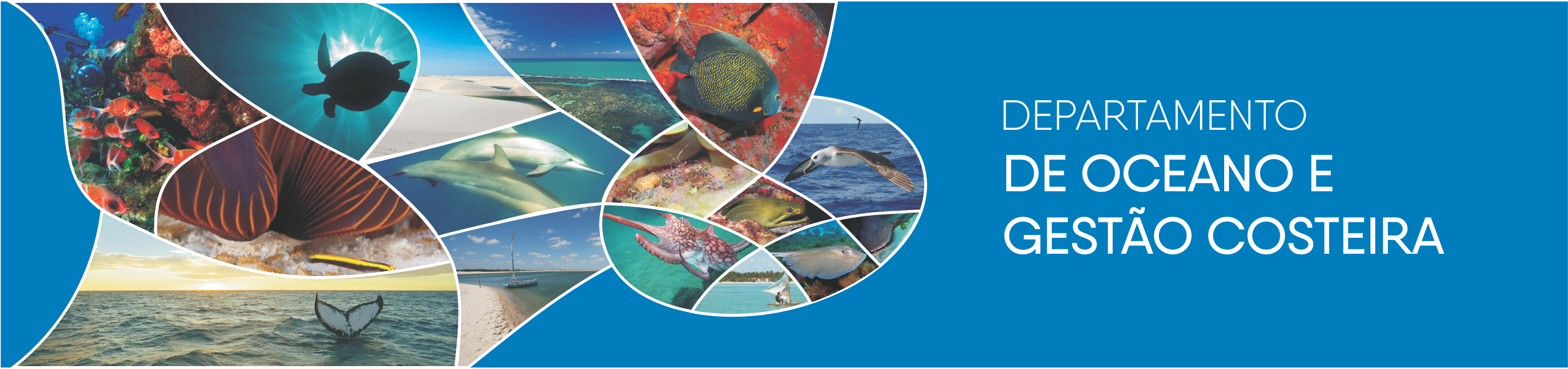 A imagem é um banner institucional do Departamento de Oceano e Gestão Costeira. Ela tem um fundo azul escuro do lado direito, onde está o nome do departamento escrito em letras brancas, com destaque para as palavras “DE OCEANO E GESTÃO COSTEIRA” em negrito.  À esquerda, há um mosaico de fotos em forma de pétalas ou conchas do mar, com imagens que representam a biodiversidade marinha e costeira. Entre essas imagens, estão:  Recifes de corais coloridos com peixes tropicais,  Uma tartaruga marinha nadando debaixo d’água,  Um golfinho saltando,  Um tubarão em águas rasas,  Um peixe-anjo em recifes,  Uma raia,  Um polvo,  Uma praia com areia branca e água cristalina,  Um veleiro no mar,  Uma cauda de baleia emergindo da água ao pôr do sol.  Essas imagens simbolizam a vida marinha, os ecossistemas costeiros e a importância da conservação do oceano. A composição reforça a missão do departamento de estudar e proteger os ambientes oceânicos e costeiros.