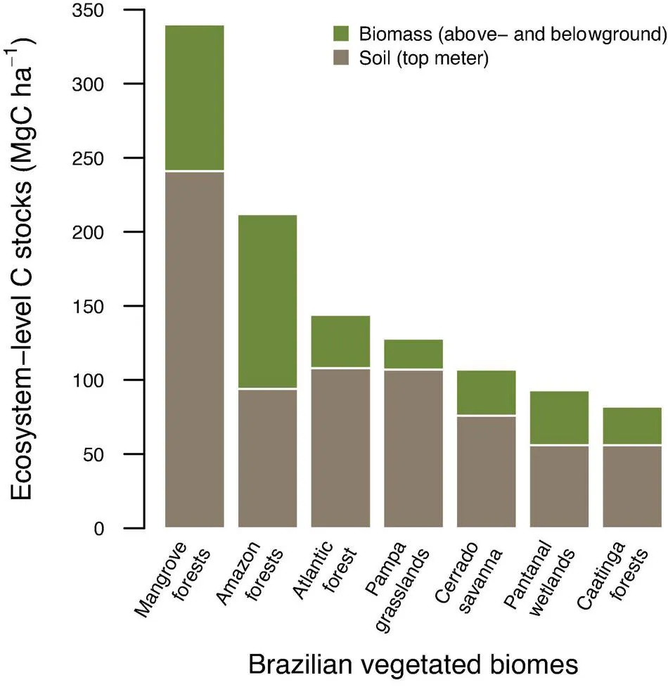 Grafico ProManguezal