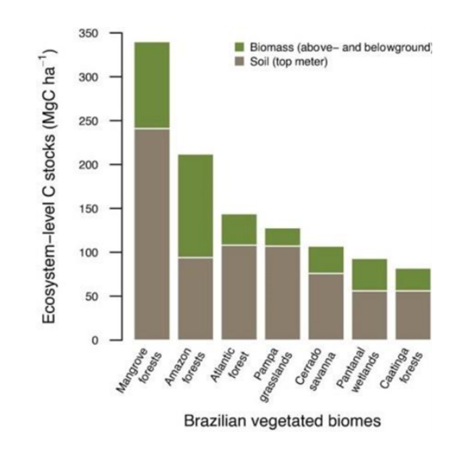 Grafico ProManguezal.png