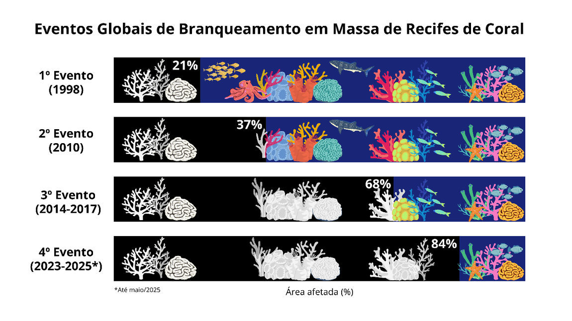 Gráfico mostrando a porcentagem da área de ocorrência de recifes de coral no mundo afetada nos quatro eventos globais de branqueamento em massa ocorridos. Fonte dos dados: NOAA. Elaboração: Carolina Chalegre, DOceano/MMA.