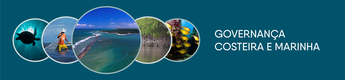 Imagem de fundo verde com fotos de tartaruga, pescador com rede, praia,, manguezal e peixes amarelos