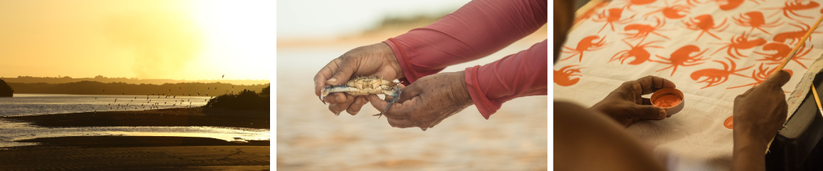 Fotos: 50milimetros/GIZ e Natilê Melo/GIZ.