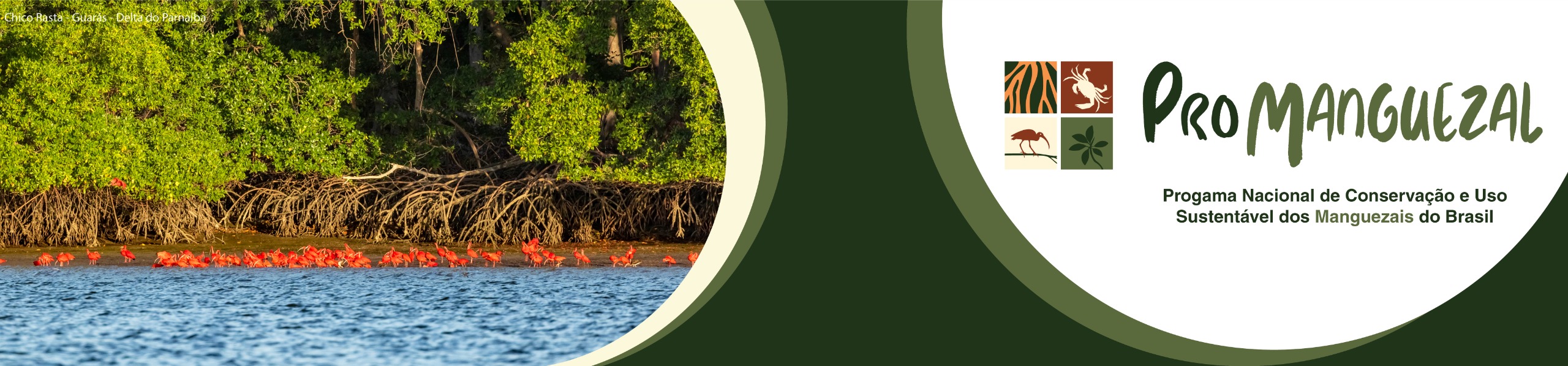 Banner composto pela Identidade visual do ProManguezal e com uma foto de Guarás no Manguezal