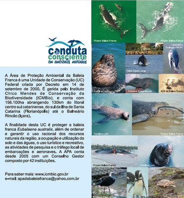 Folder Conduta Consciente em Ambientes Marinhos - Encalhe de Animais Marinhos.png