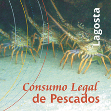 Livreto Consumo Legal de Pescados - Lagosta.png