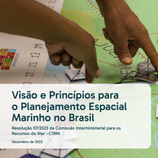 Visão e princípios para o PEM no Brasil.png