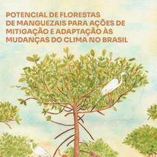 capa Potencial de Florestas de Manguezais.png
