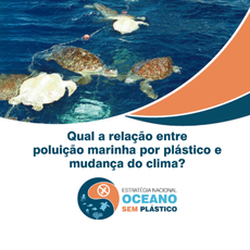 Poluição marinha plástico e clima.png