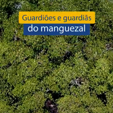 Manguezais e Povos e Comunidades Tradicionais.png