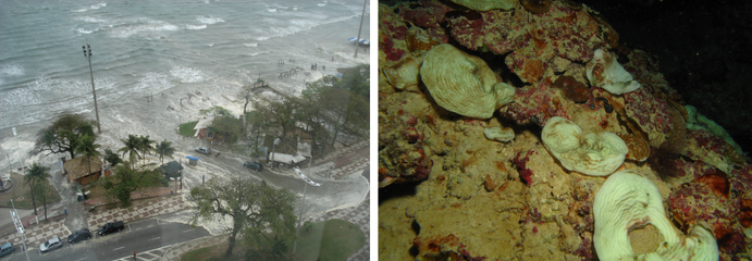 enchente e branqueamento.png