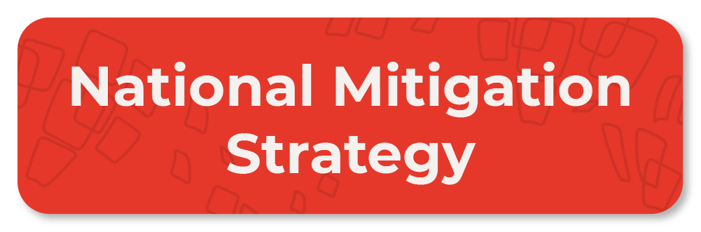 National Mitigation Strategy