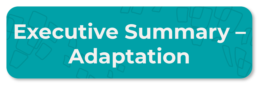 Executive Summary - Adaptation