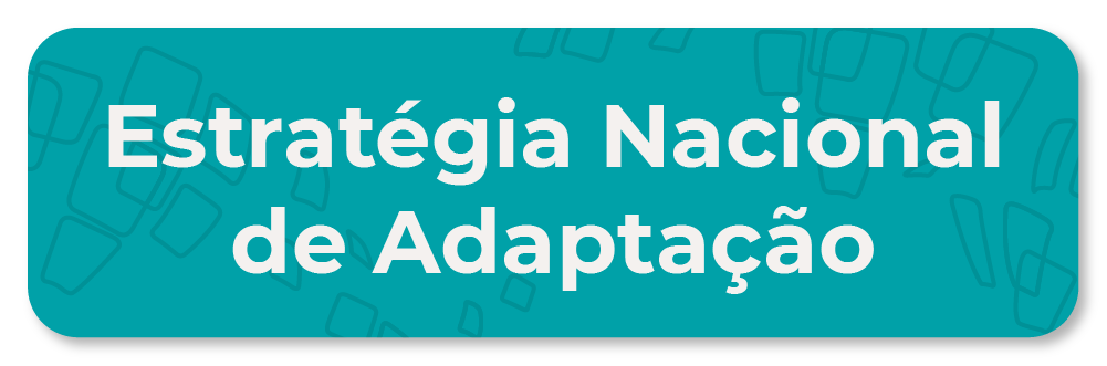 Estratégia Nacional de Adaptação