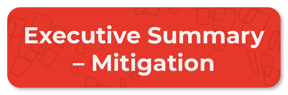 Executive Summary - Mitigation