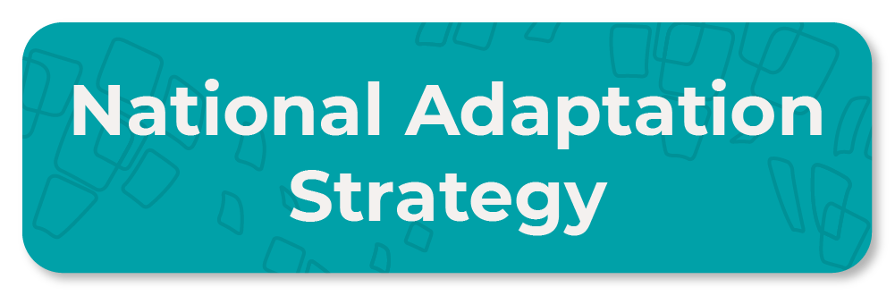 National Adaptation Strategy