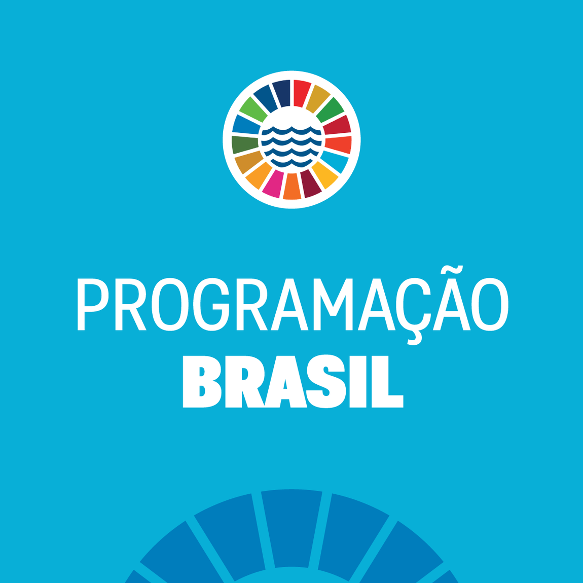 programação brasil