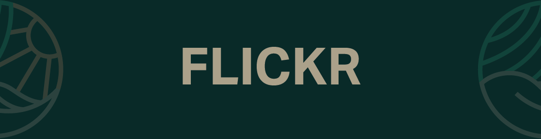 Flickr