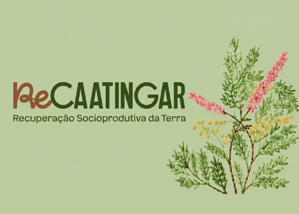 Programa Recaatingar