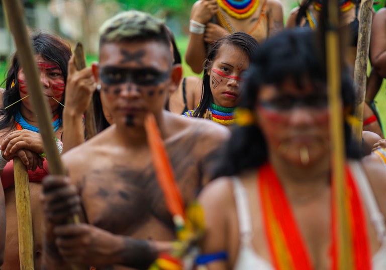 Terra Indígena Yanomami. Foto: MMA