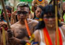 Terra Indígena Yanomami. Foto: MMA