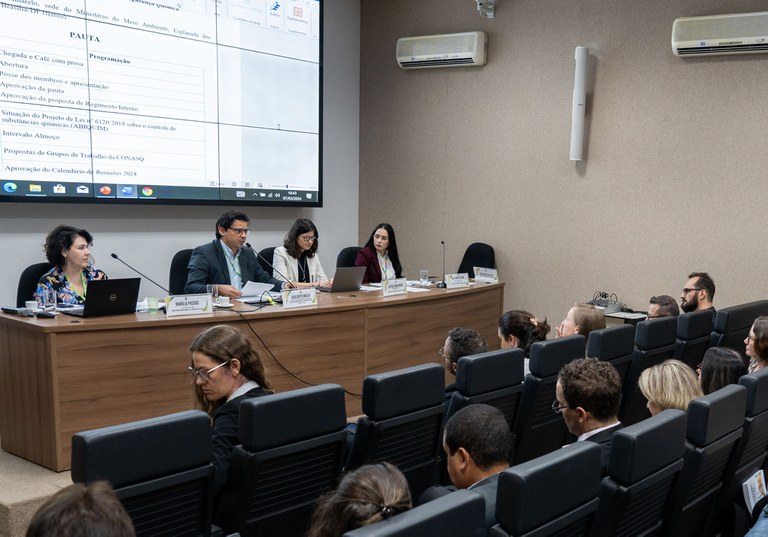 Reunião da Comissão de Segurança Química no auditório do MMA, em Brasília. Foto: Conselho Federal de Química